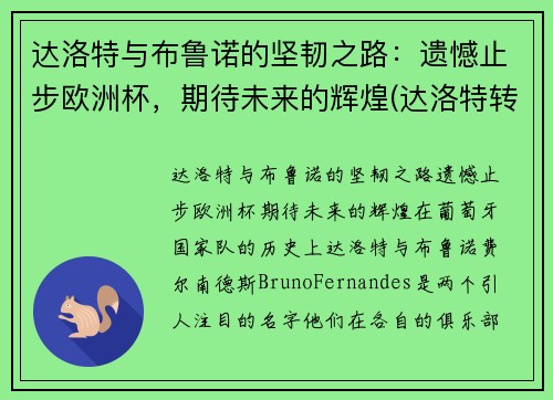 达洛特与布鲁诺的坚韧之路：遗憾止步欧洲杯，期待未来的辉煌(达洛特转会费)