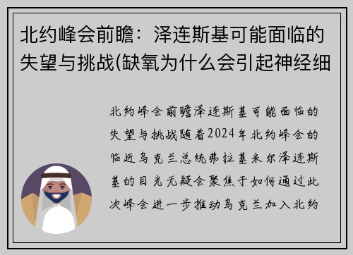 北约峰会前瞻：泽连斯基可能面临的失望与挑战(缺氧为什么会引起神经细胞兴奋性降低)